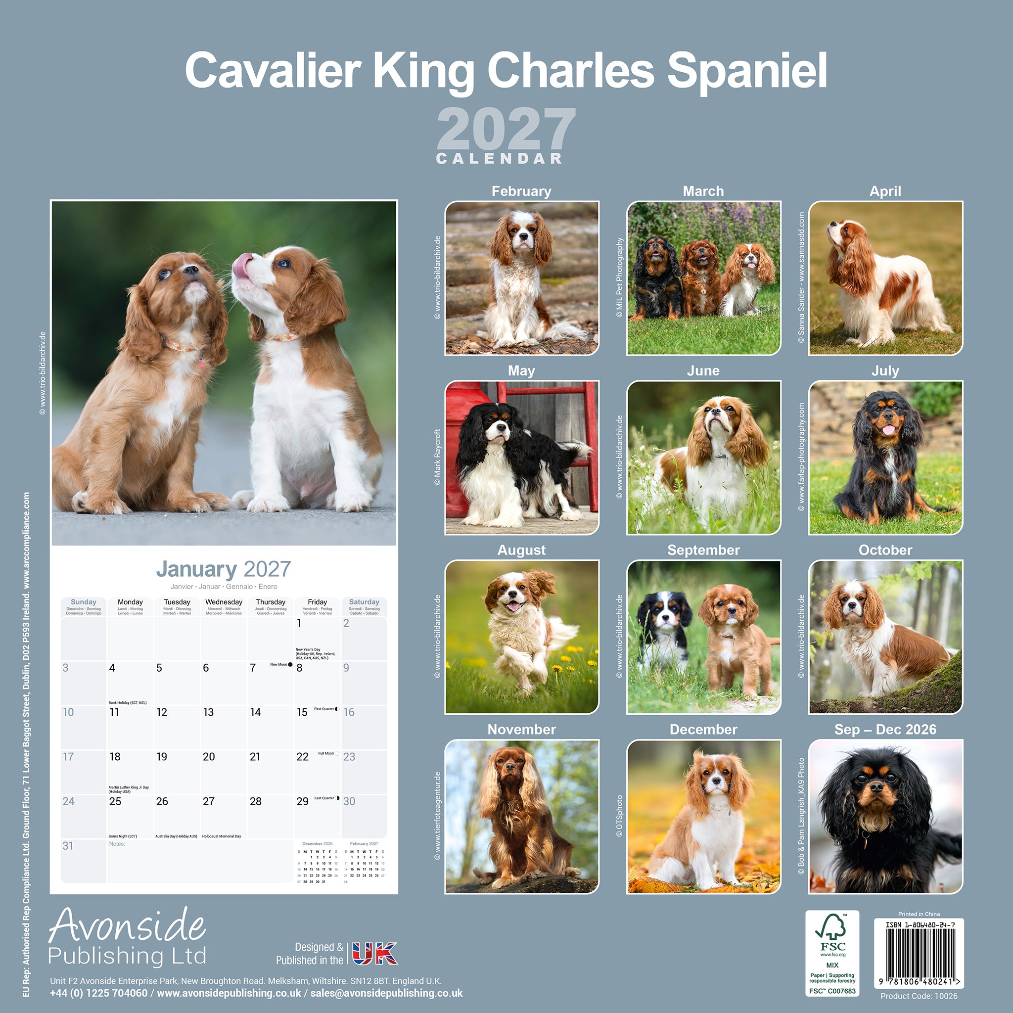 otter-house-cavalier-king-charles-wandkalender-2027-hunde image 2