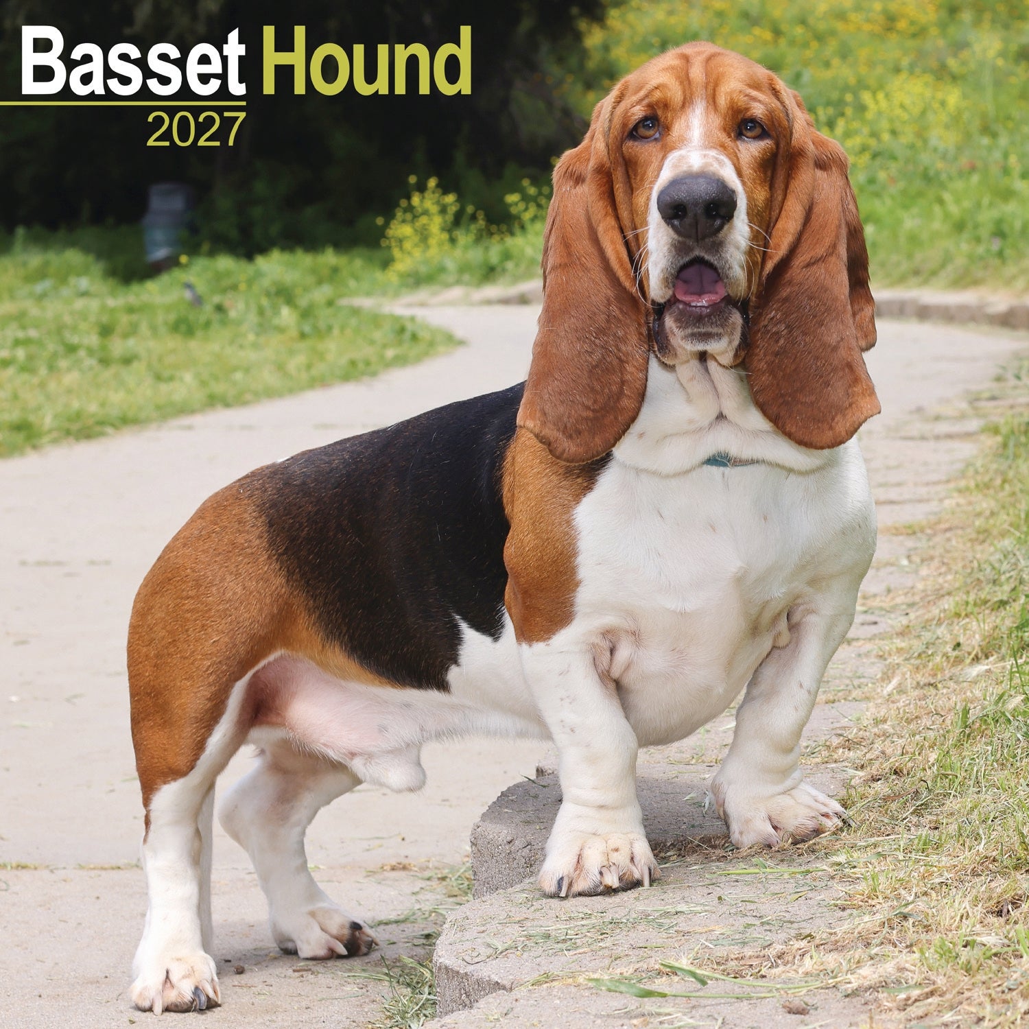 otter-house-basset-hound-wandkalender-2027-hunde image 1