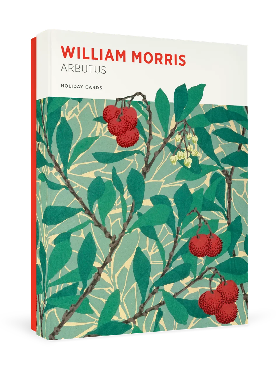 pomegranate-morris-weihnachtskarten-arbutus-blumen image 1