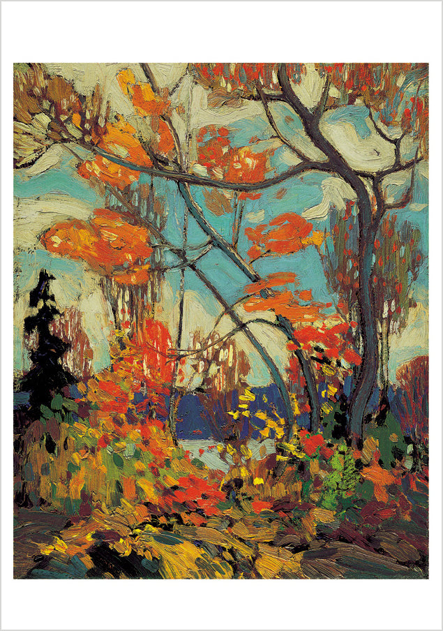 pomegranate-tom-thomson-klappkarten-box-20-st-ck-wildnis image 2