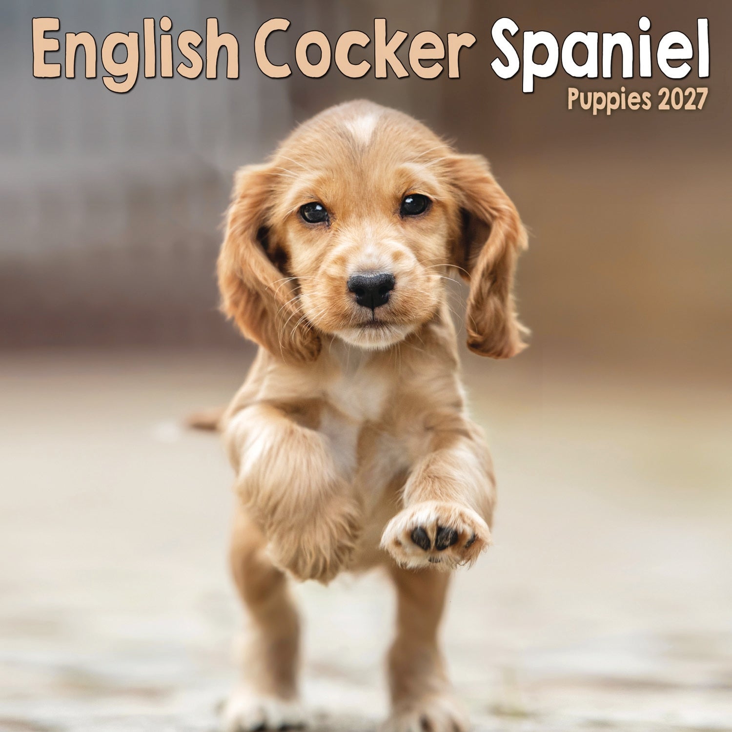 otter-house-english-cocker-spaniel-puppies-mini-kalender-2027 image 1