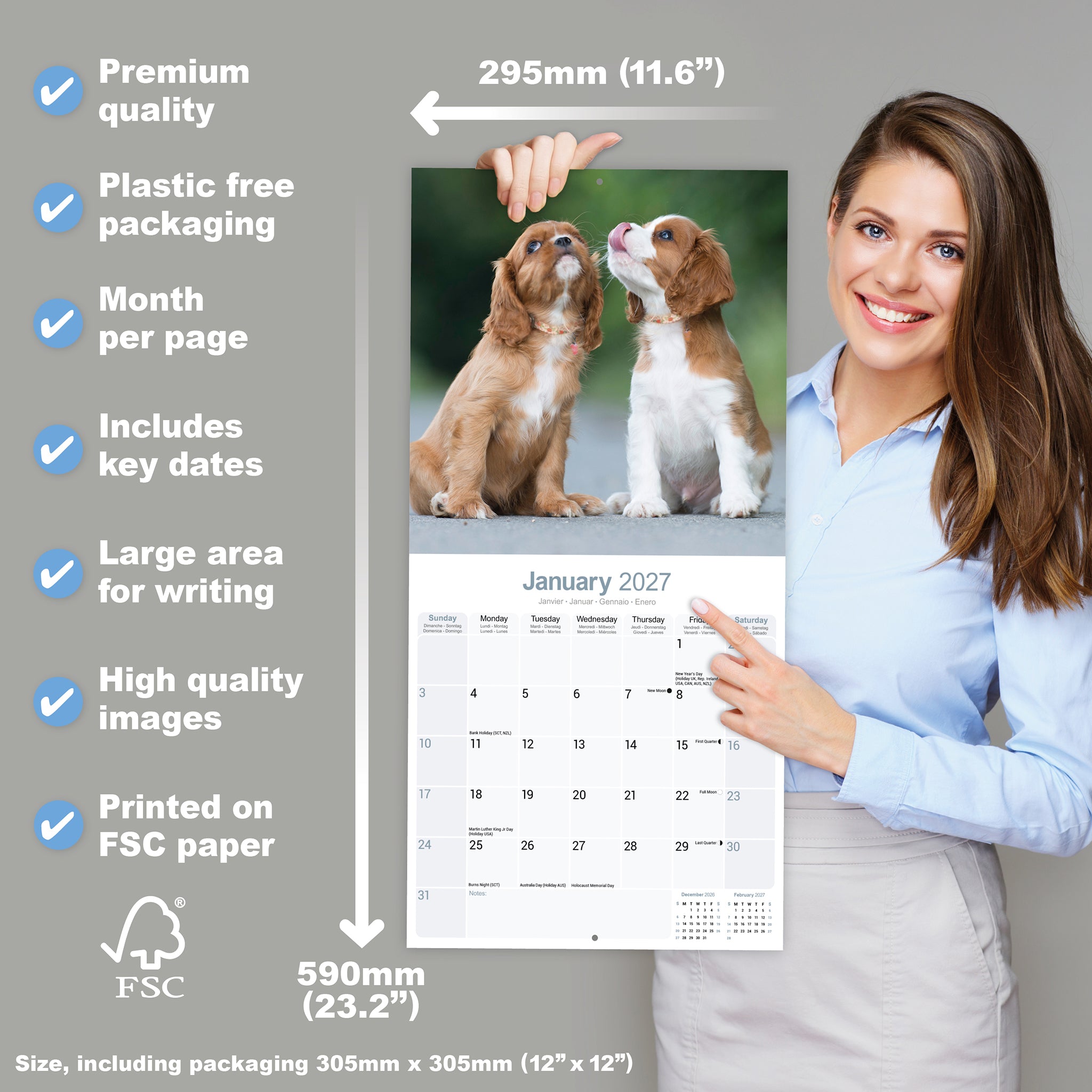 otter-house-cavalier-king-charles-wandkalender-2027-hunde image 4