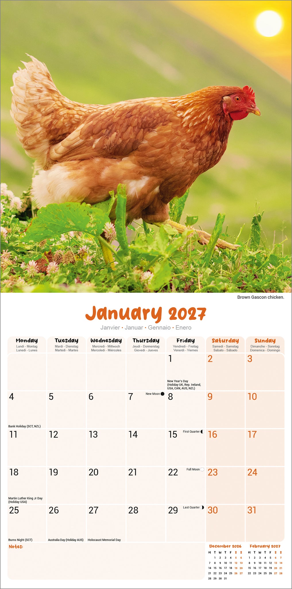 otter-house-chickens-wandkalender-2027-h-hner image 3
