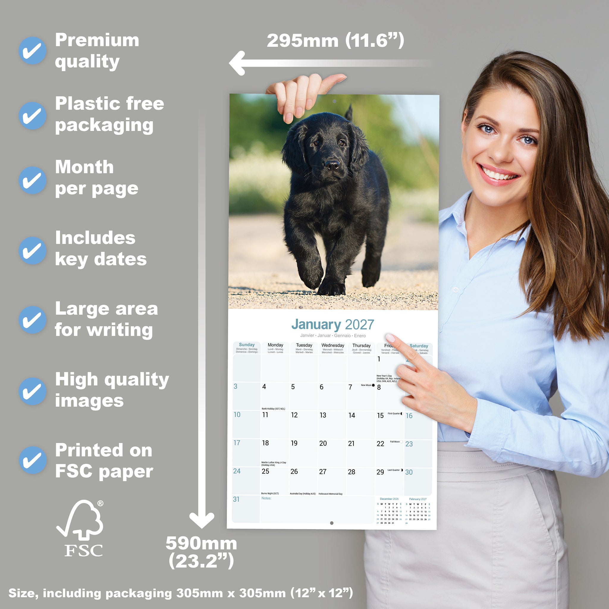 otter-house-flat-coated-retriever-wandkalender-2027-hund image 4
