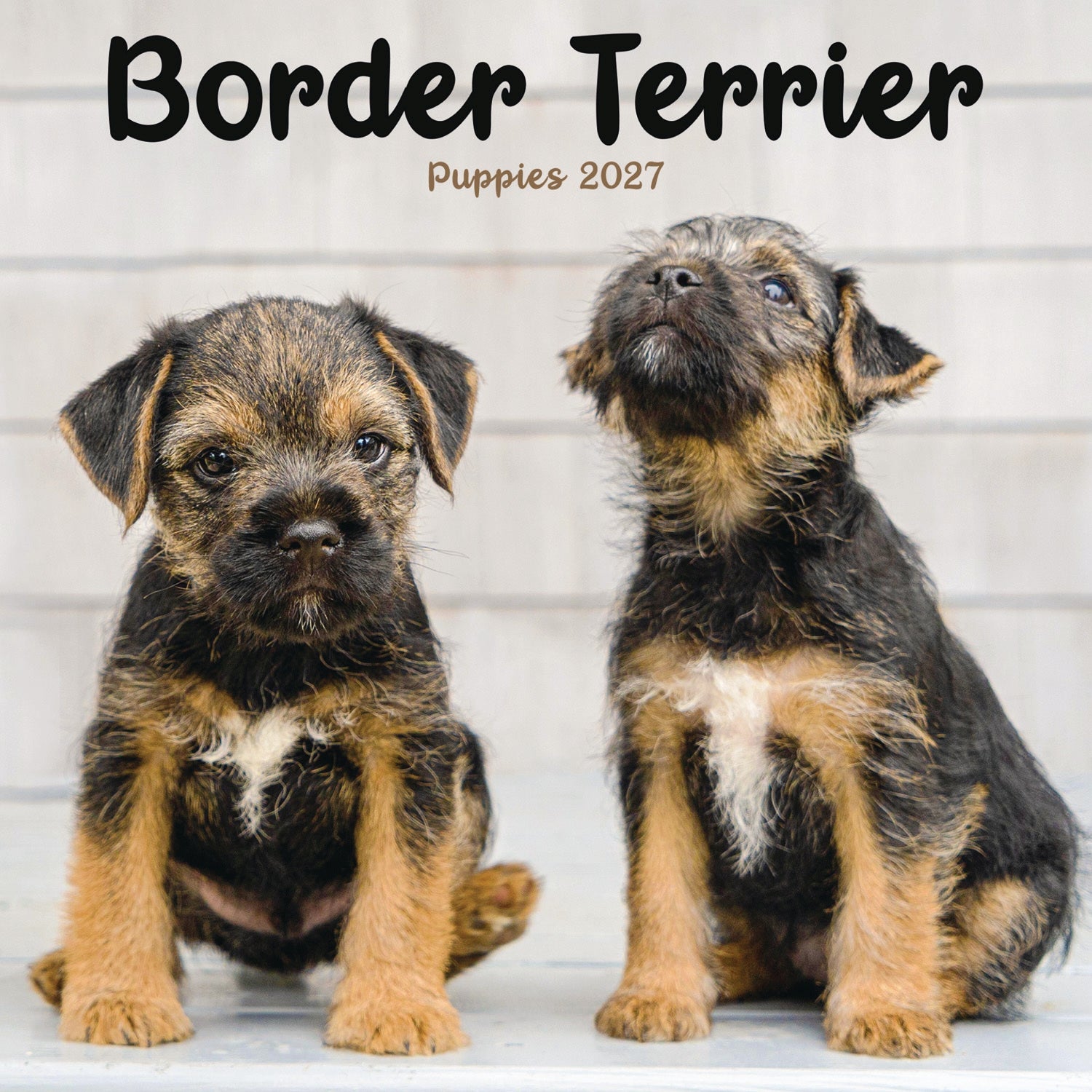 otter-house-border-terrier-puppies-mini-kalender-2027-hunde image 1