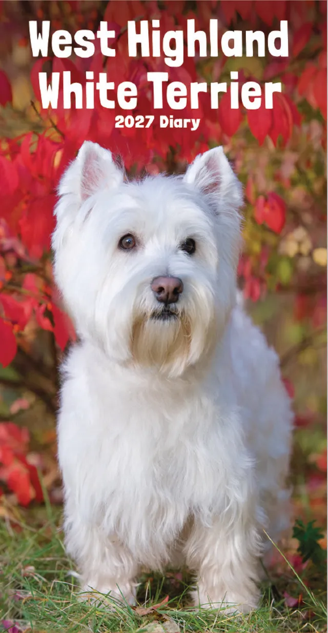 otter-house-west-highland-terrier-slim-diary-2027-tagebuch image 1