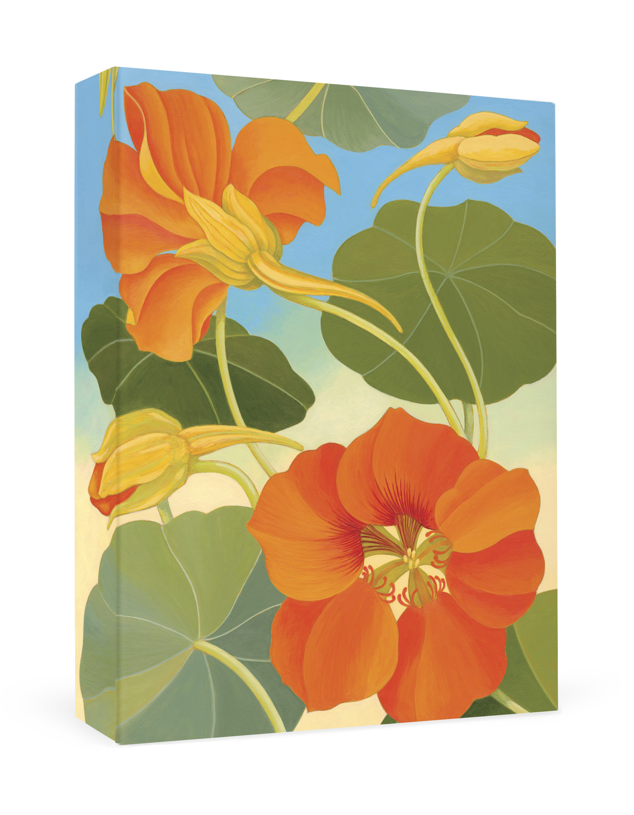 pomegranate-siri-schillios-nasturtium-dankeskarten-box image 1