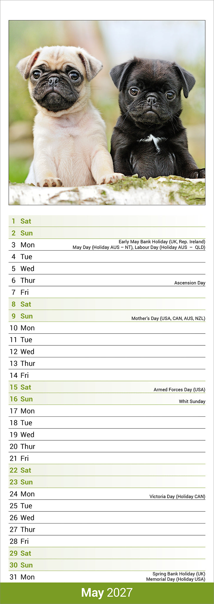 otter-house-pug-slim-calendar-2027-wandkalender-mops image 3
