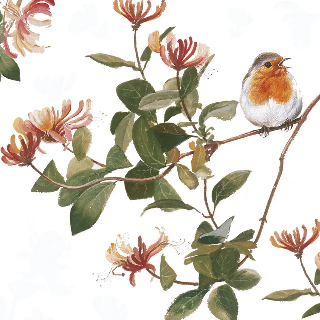 otter-house-pollyanna-pickering-floral-robin-grusskarte-rotkehlchen image 1