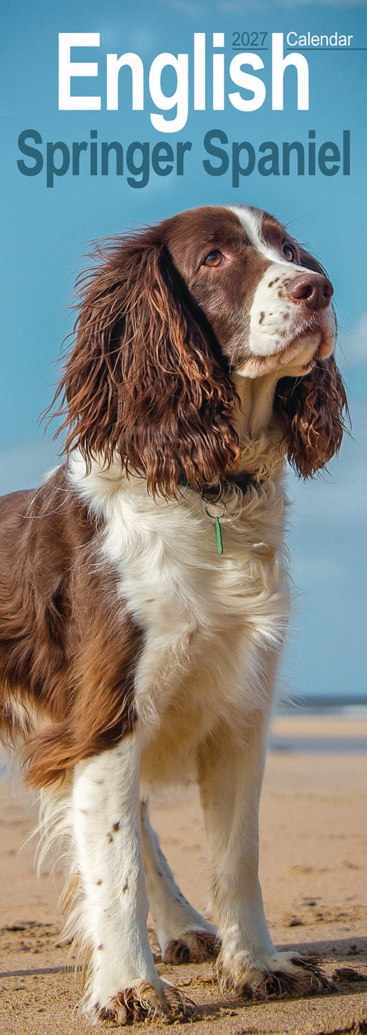 otter-house-english-springer-spaniel-slim-kalender-2027-hund image 1