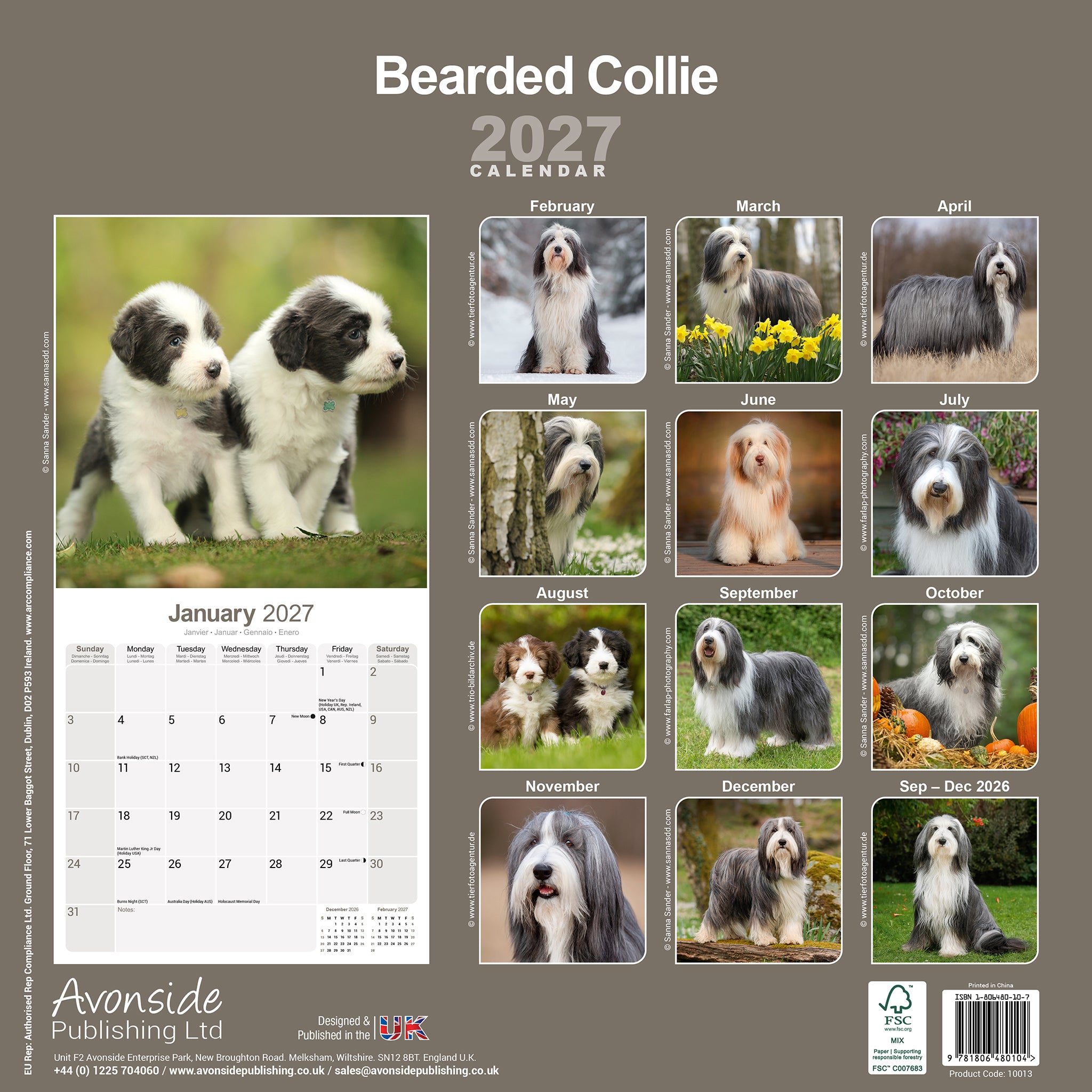 otter-house-bearded-collie-wandkalender-2027-hund image 2