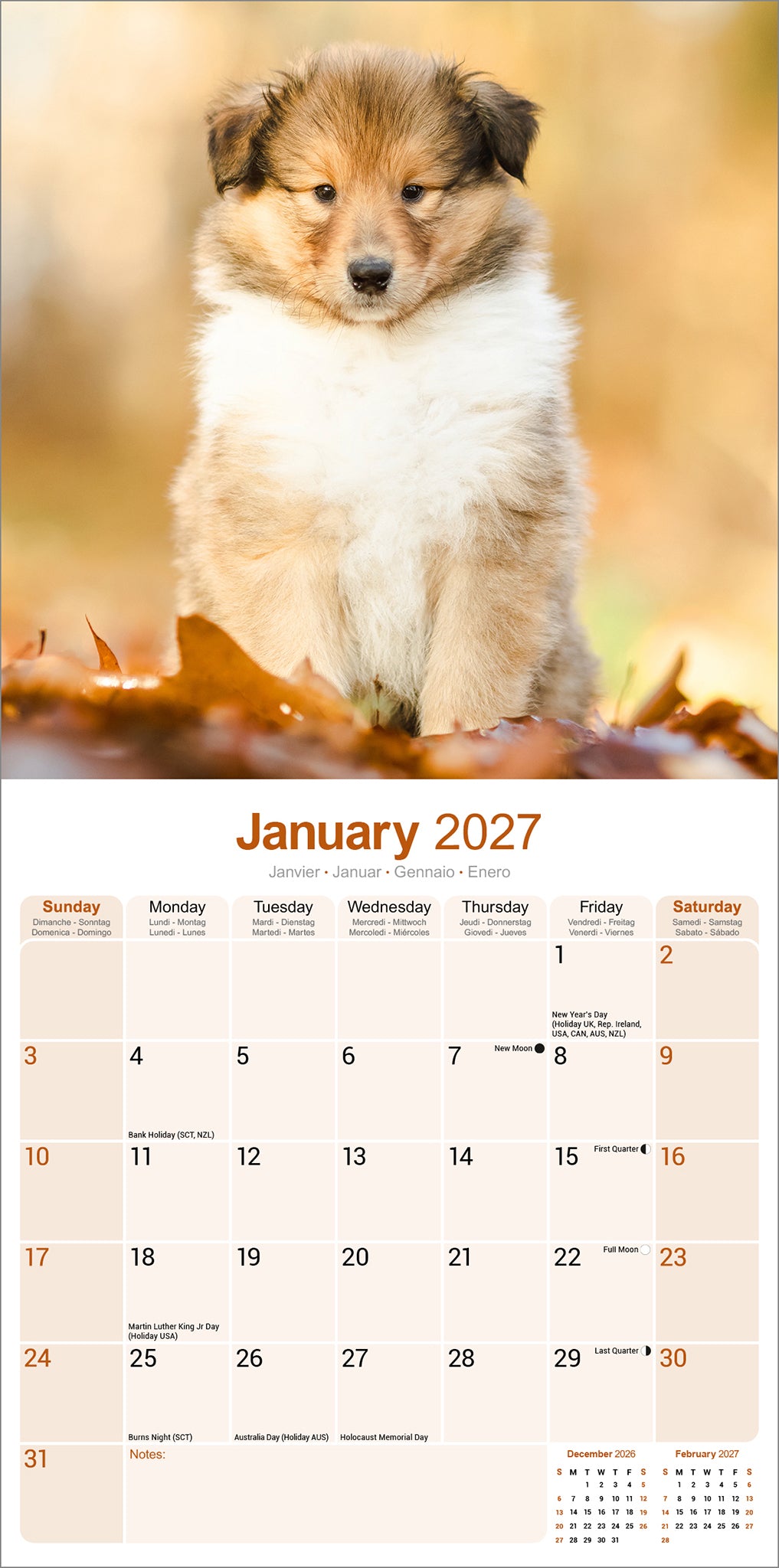 otter-house-collie-wandkalender-2027-hundekalender image 3