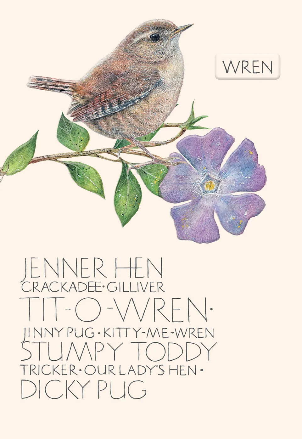 otter-house-naming-of-a-bird-gru-karte-zaunk-nig-wren image 1