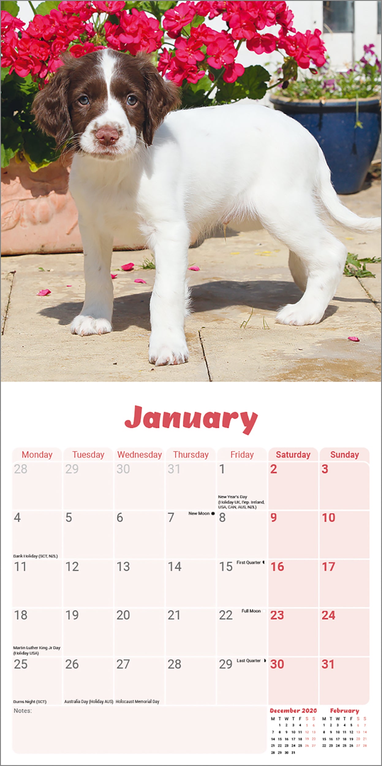 otter-house-english-springer-spaniel-puppies-mini-calendar-2027 image 3