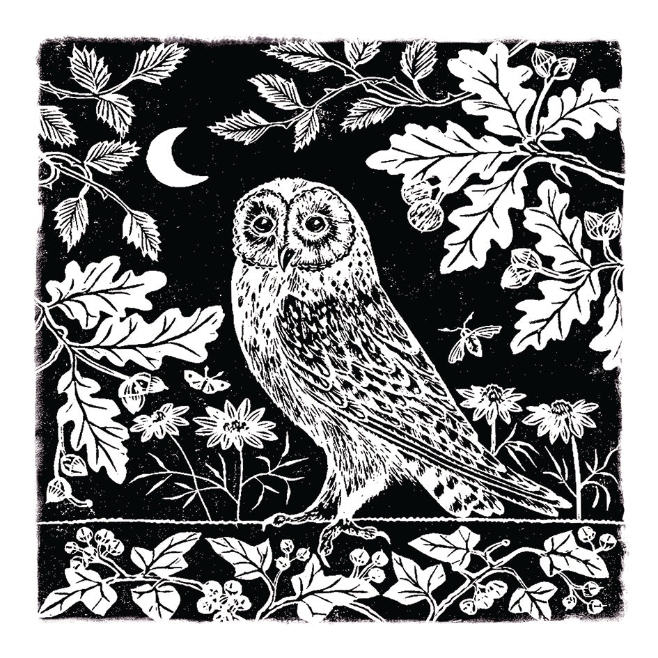otter-house-rspb-owl-moon-grusskarte-eule image 1