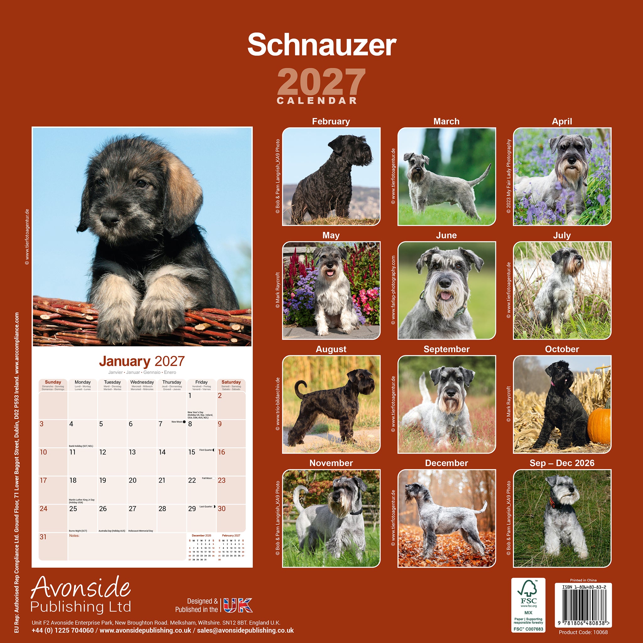otter-house-schnauzer-wandkalender-2027-hunde image 2