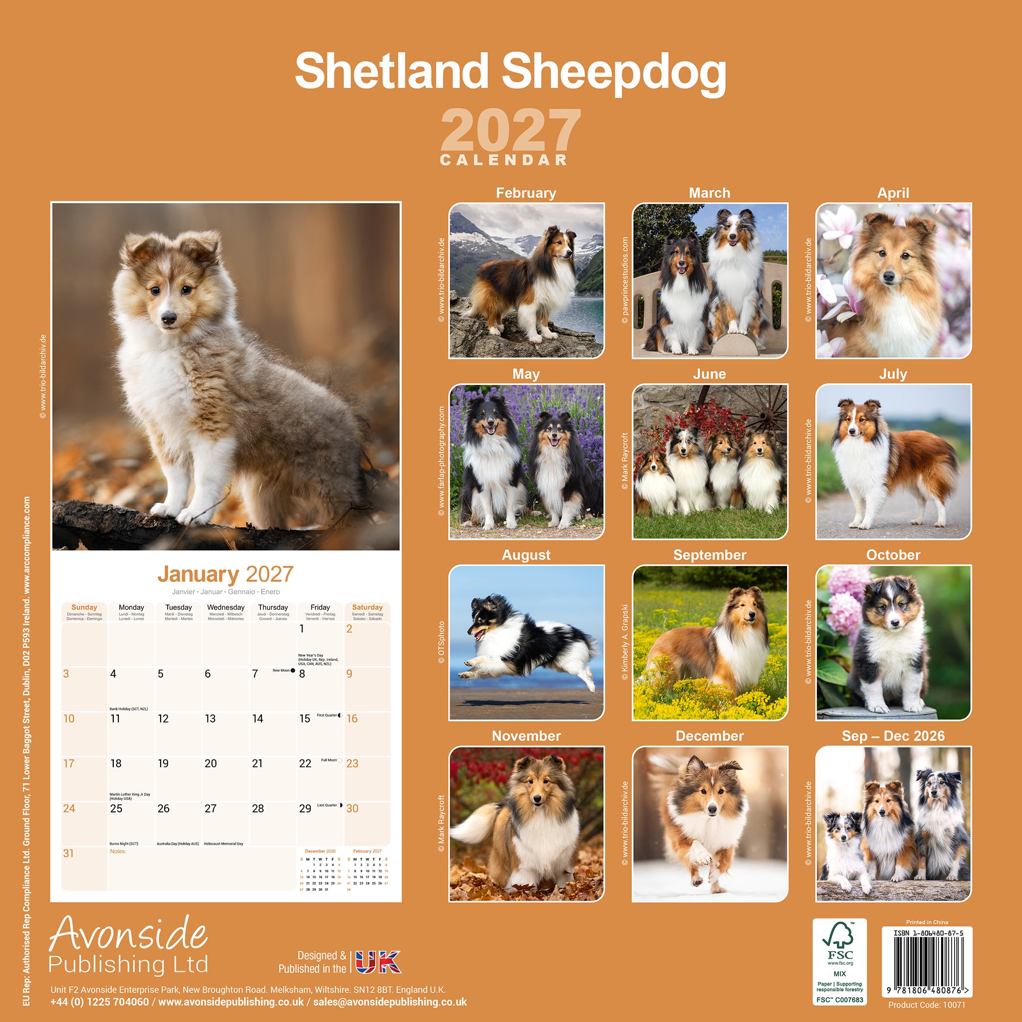 otter-house-shetland-sheepdog-wandkalender-2027-hunde image 2