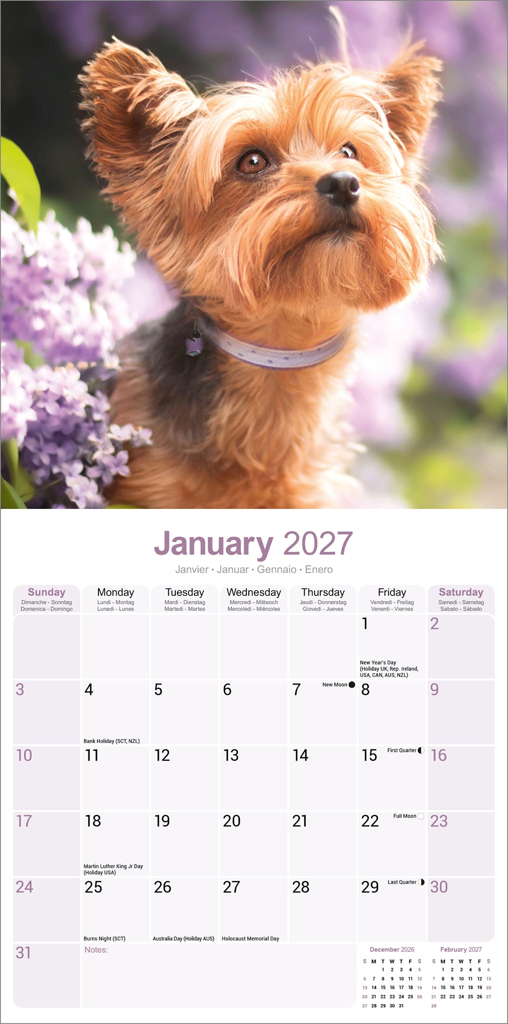 otter-house-yorkshire-terrier-wall-calendar-2027-hunde image 3