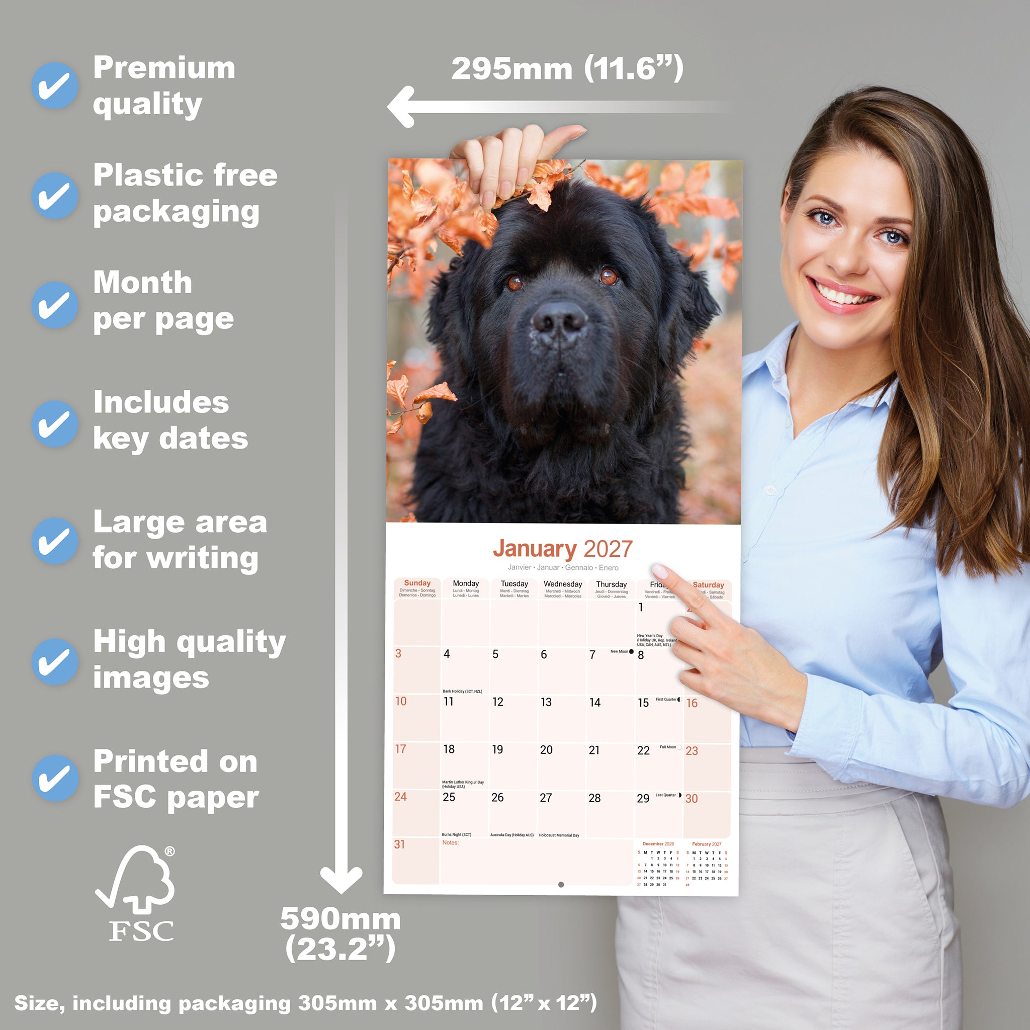 otter-house-newfoundland-wandkalender-2027-hunde image 4