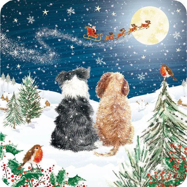 otter-house-christmas-weihnachtskarten-watching-moonlight-10er image 1