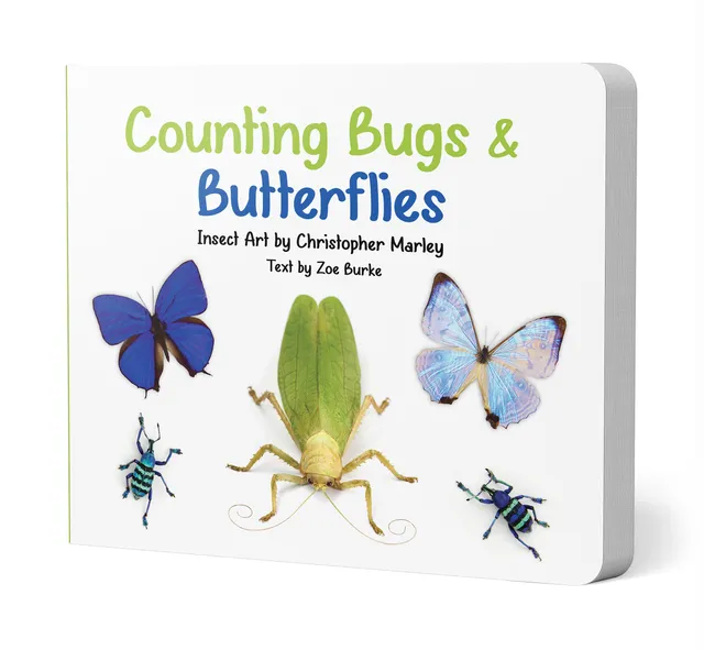pomegranate-counting-bugs-butterflies-pappbilderbuch-insekten image 1