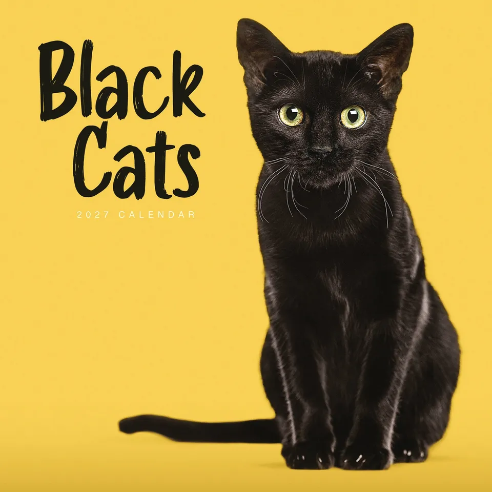 otter-house-black-cats-wandkalender-2027-katzen image 1