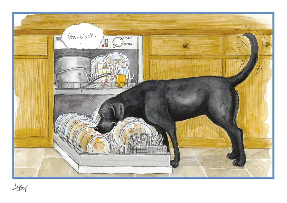 otter-house-alison-s-animals-gru-karte-pre-wash-tiere image 1