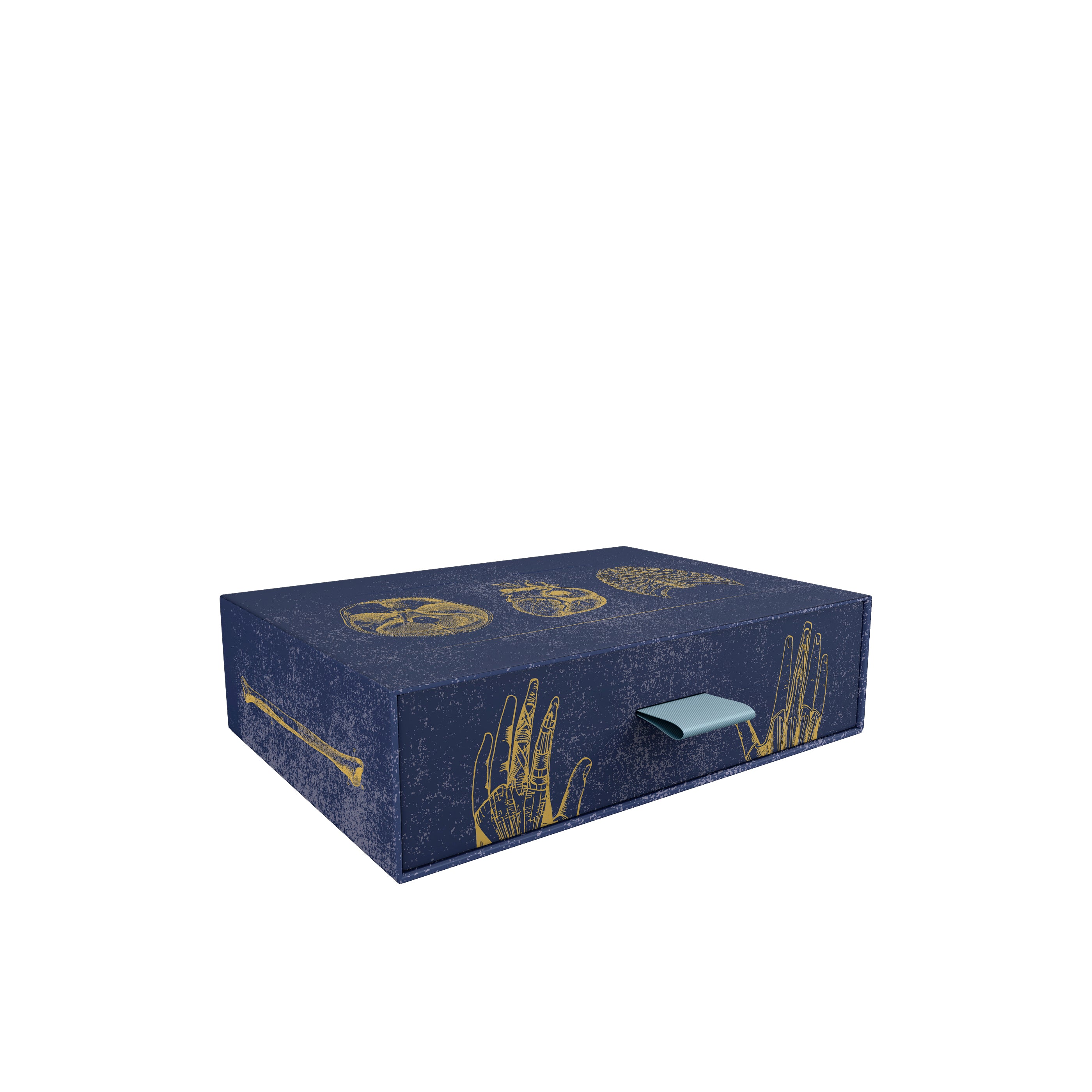 pomegranate-vintage-anatomy-kartenbox-anatomie-klappkarten image 2