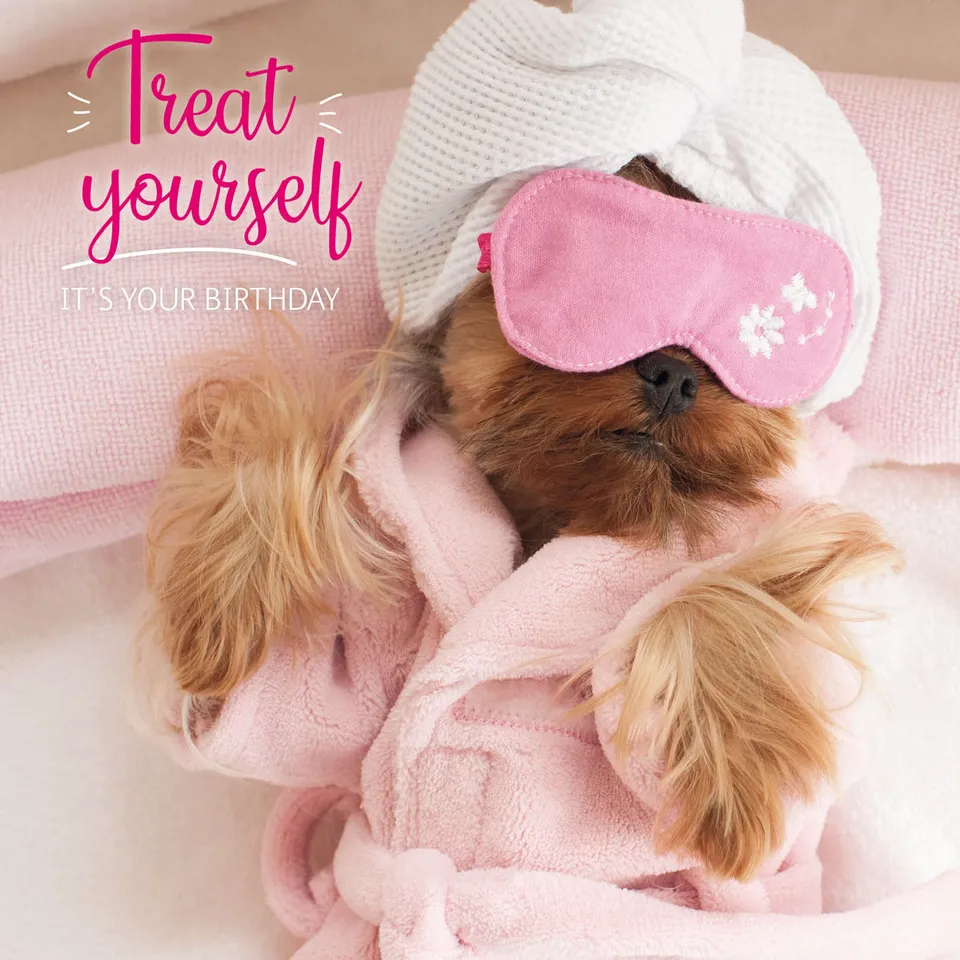 otter-house-pet-pawtrait-geburtstagskarte-pampered-pup-hund image 1