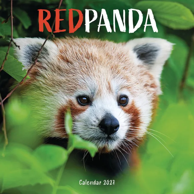 otter-house-red-pandas-wandkalender-2027-tiere image 1