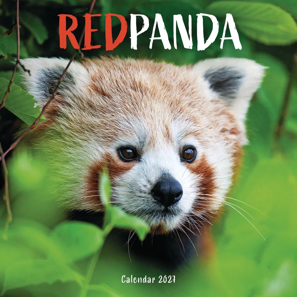 otter-house-red-pandas-wandkalender-2027-tiere image 1