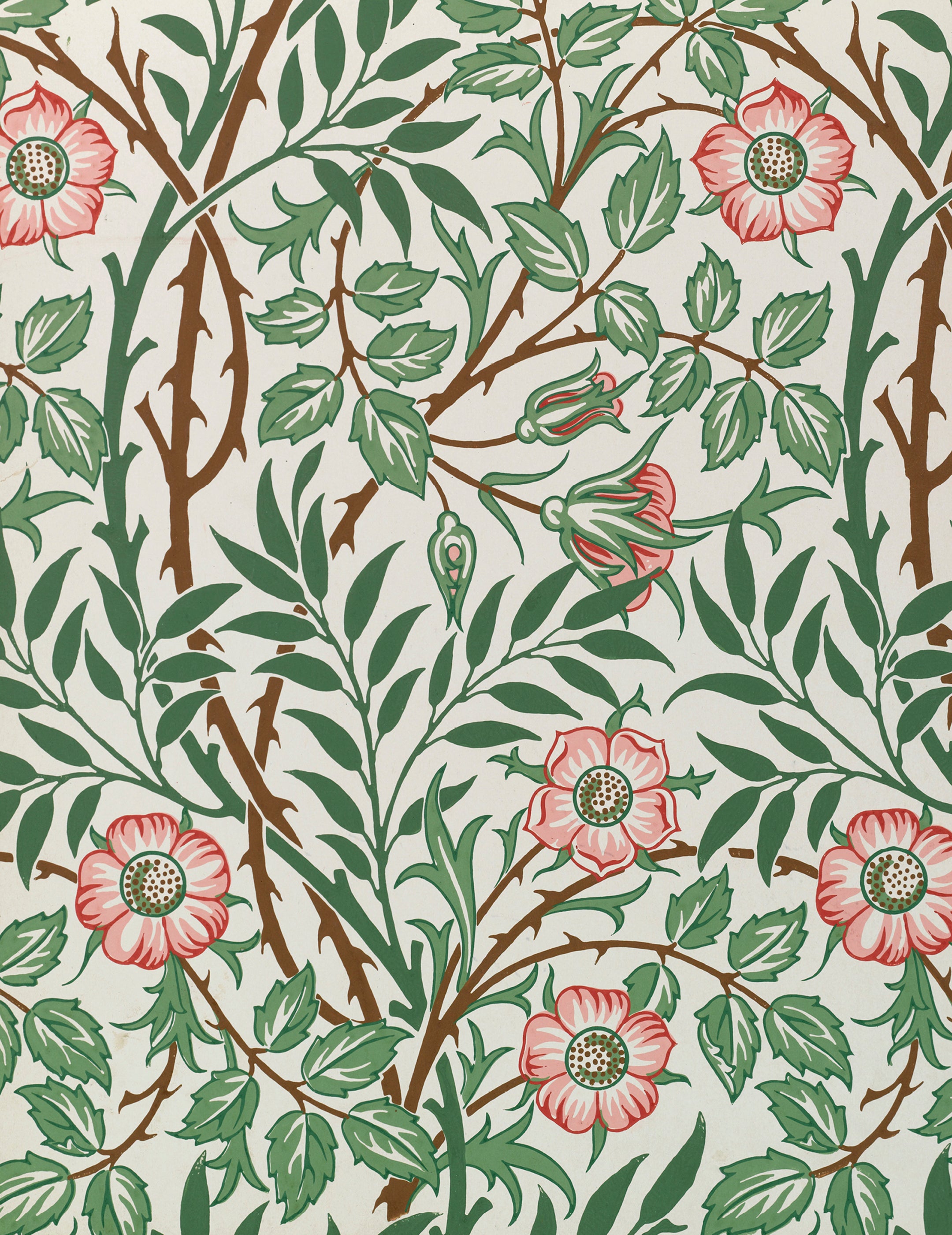 pomegranate-william-morris-kartenbox-gru-karten-florale-muster image 2