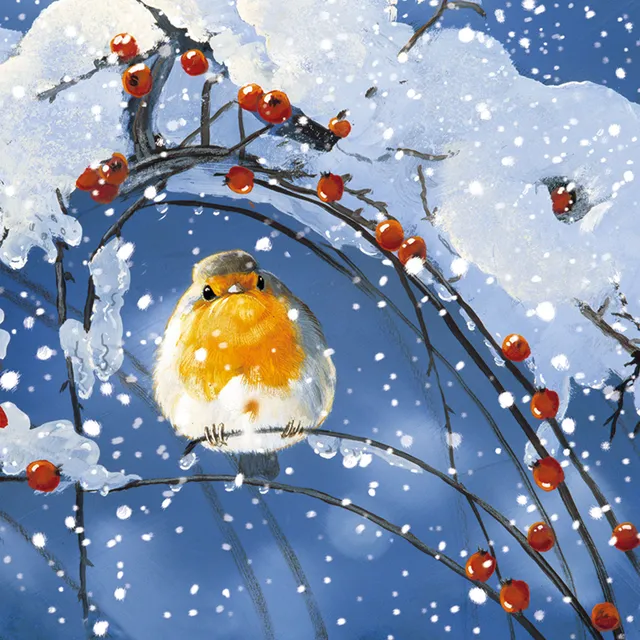 otter-house-winter-robins-weihnachtskarten-set-rotkehlchen image 1