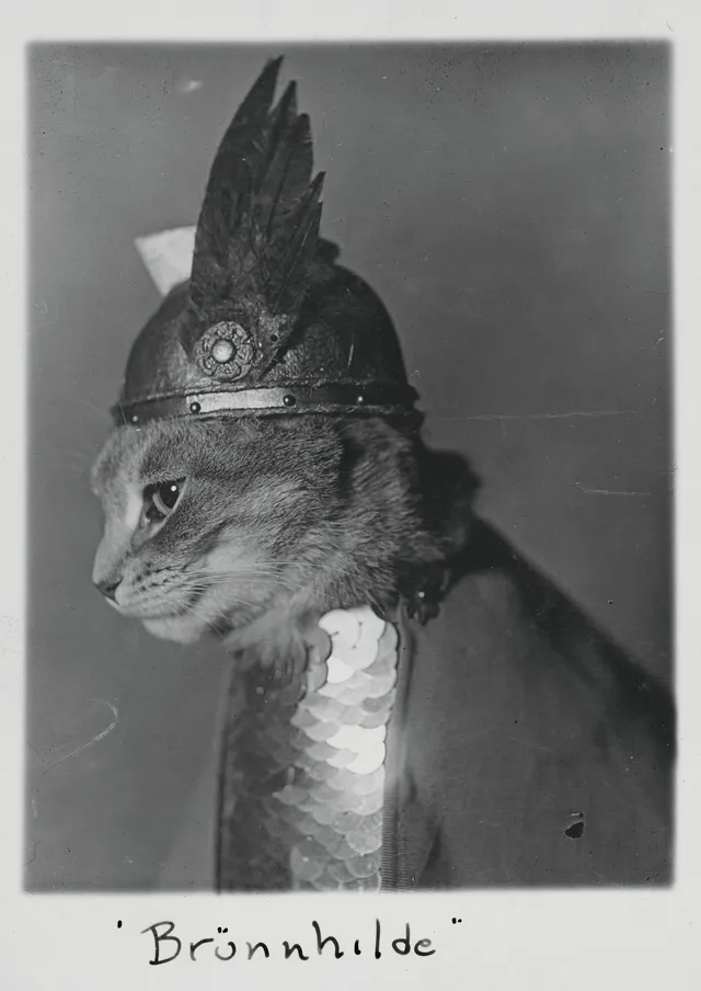 pomegranate-postcards-br-nnhilde-postkarte-katze-humor image 1