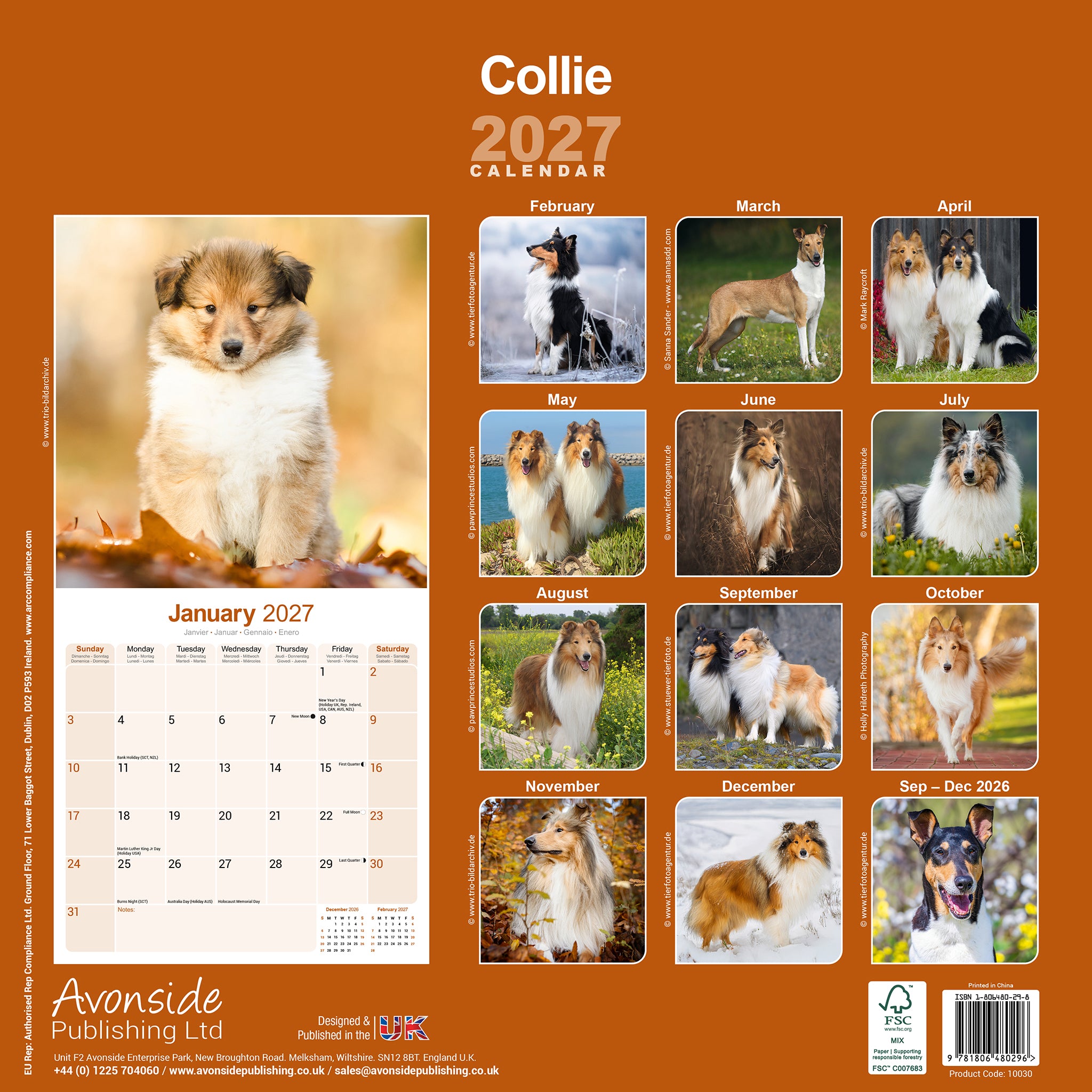 otter-house-collie-wandkalender-2027-hundekalender image 2