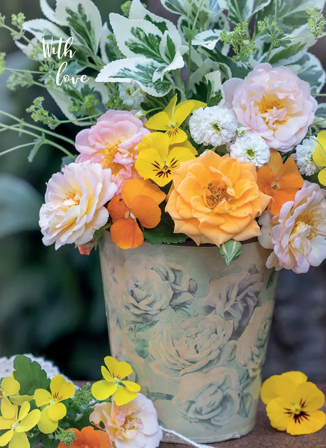 otter-house-birthday-wishes-orange-peach-roses-geburtstagskarte image 1