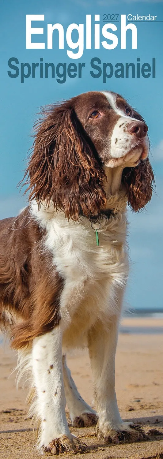 otter-house-english-springer-spaniel-slim-kalender-2027-hund image 1