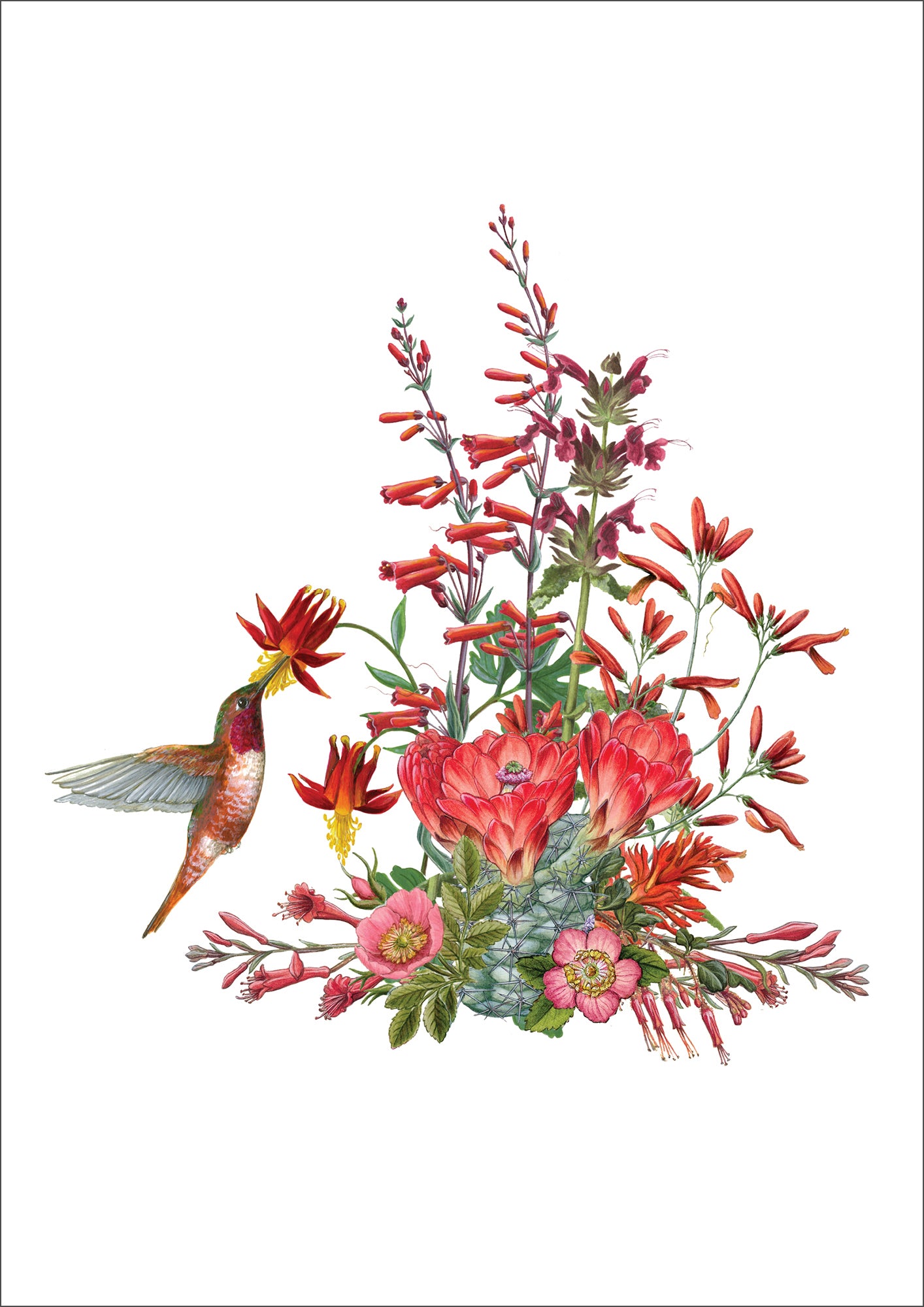 pomegranate-erin-hunter-california-wildflowers-karten-rot image 2