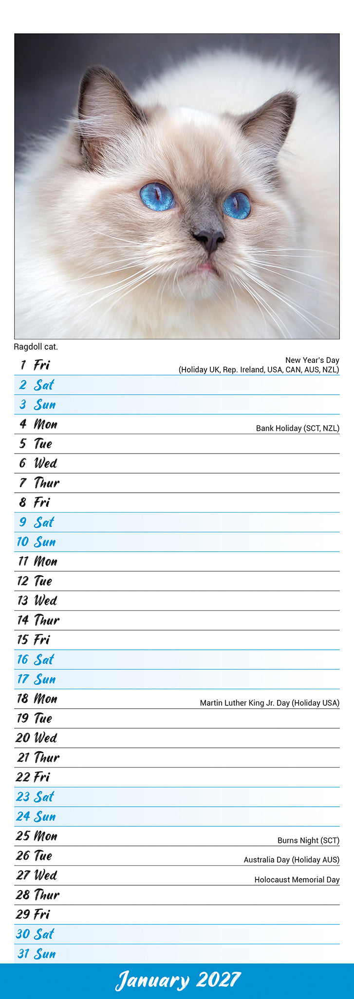 otter-house-katzen-slim-kalender-2027-schmalformat image 3