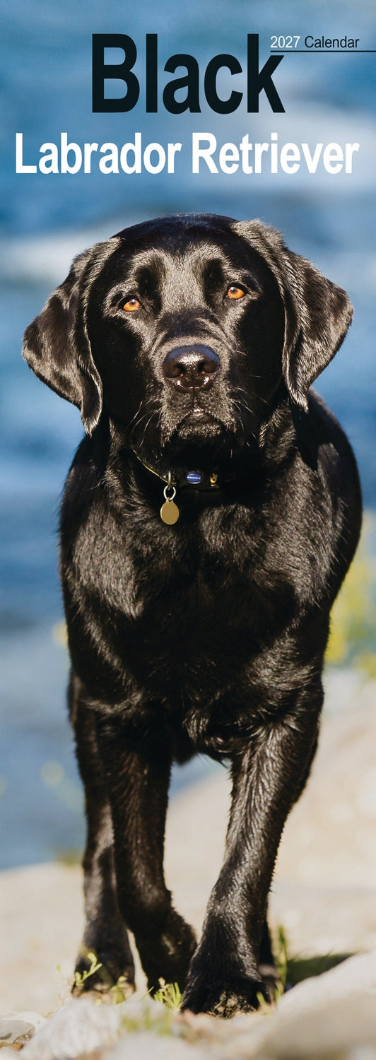 otter-house-labrador-retriever-black-slim-kalender-2027-hund image 1