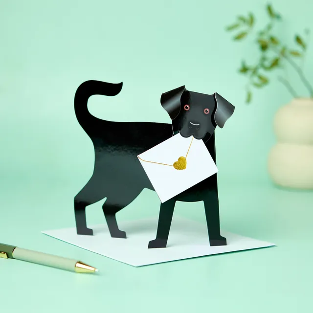 otter-house-special-delivery-gru-karte-hund-jet-3d image 1