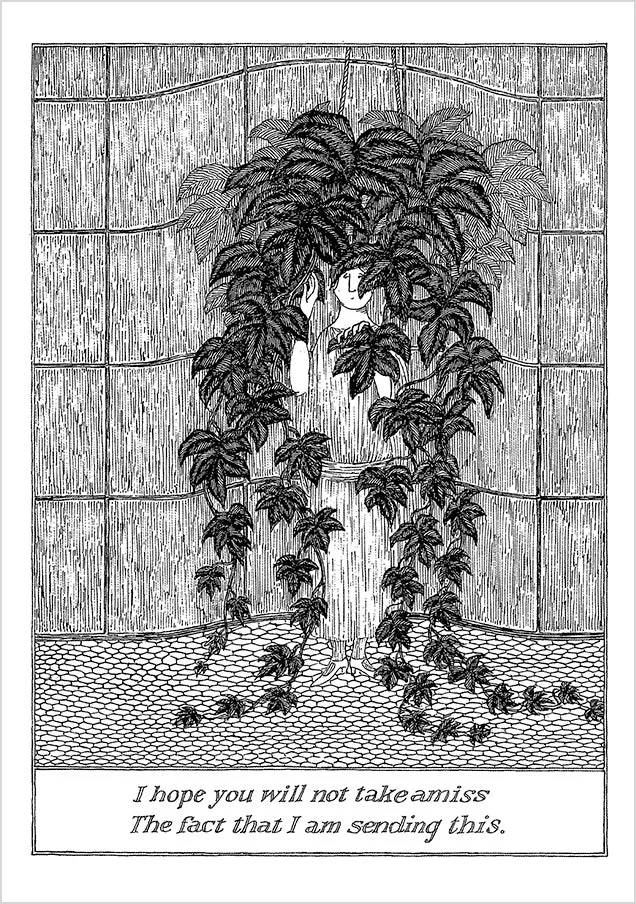 pomegranate-blank-notecards-edward-gorey-not-take-amiss-klappkarte-einzeln image 1