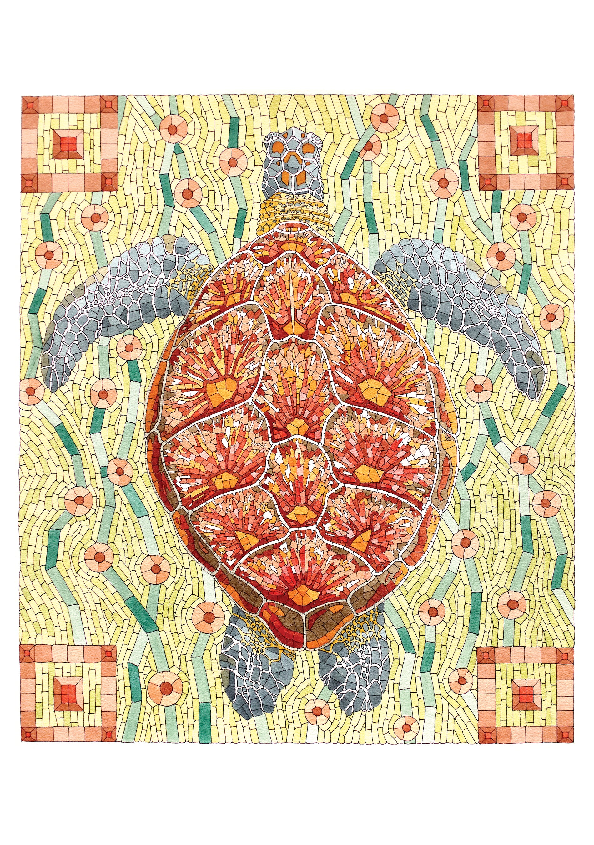 pomegranate-david-cohen-meeresschildkr-te-klappkarte-einzeln image 1
