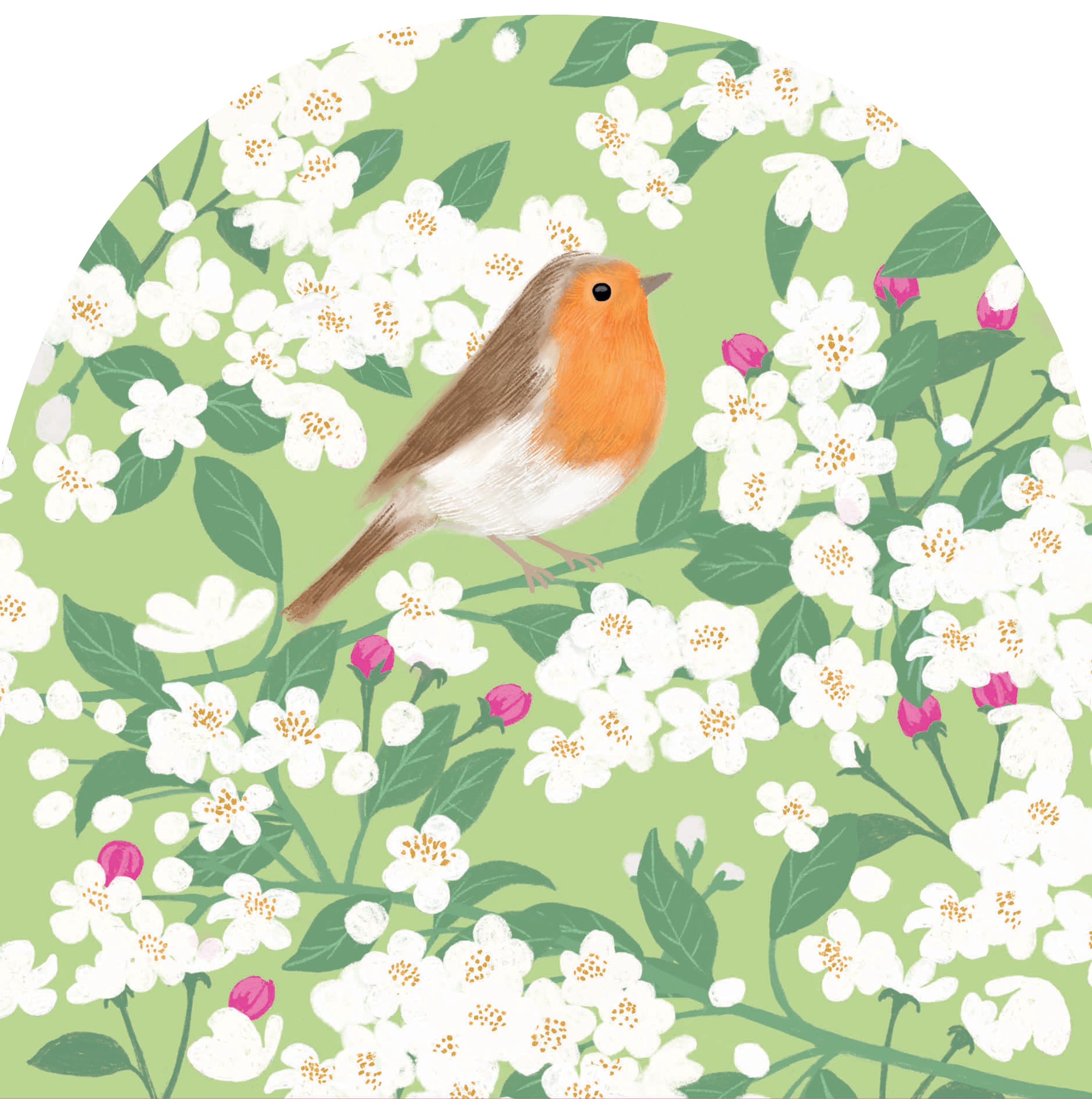 otter-house-rspb-robin-apple-blossom-gru-karte image 1
