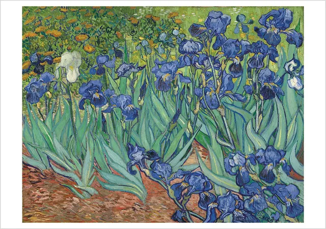 pomegranate-blank-notecards-van-gogh-irises-klappkarte-einzelkarte image 1