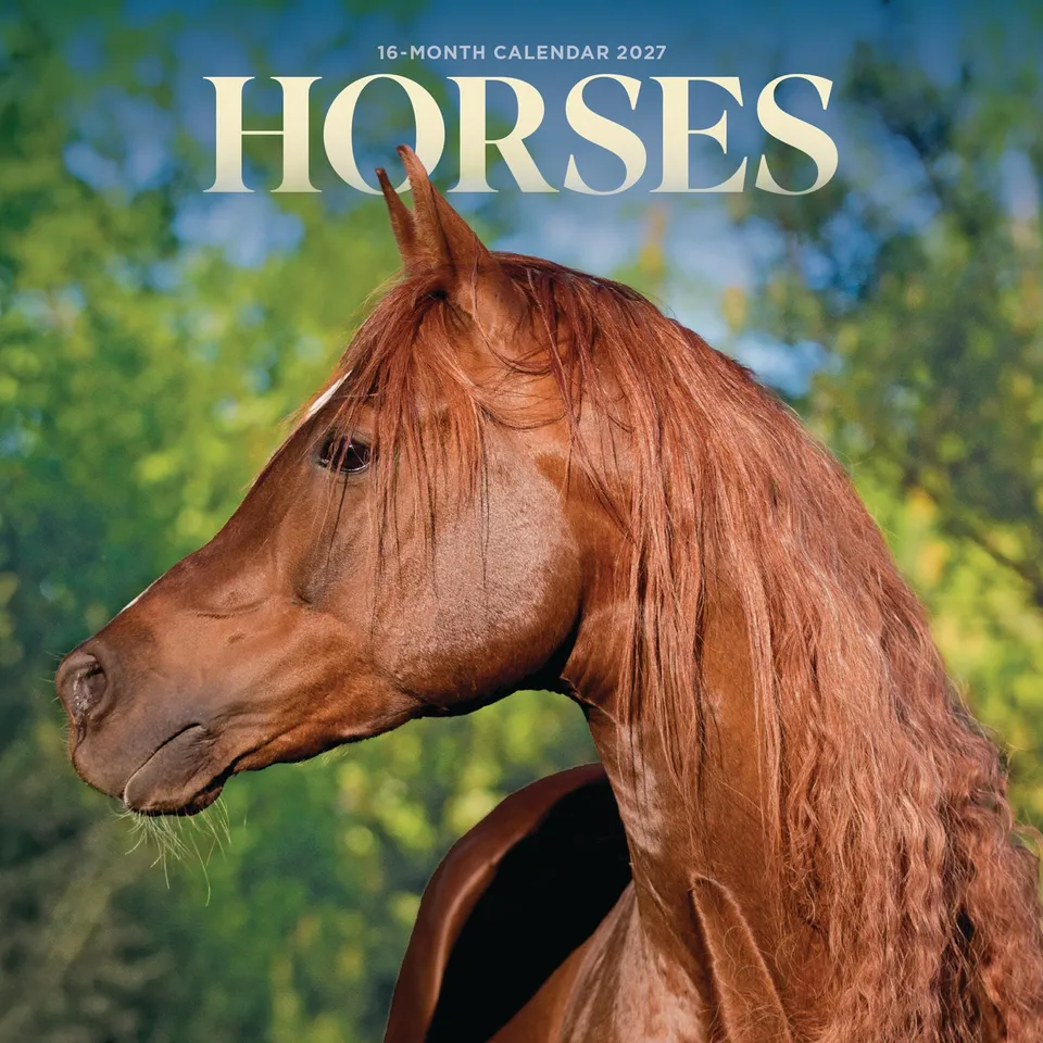 otter-house-horses-mini-kalender-2027-pferde-wandkalender image 1