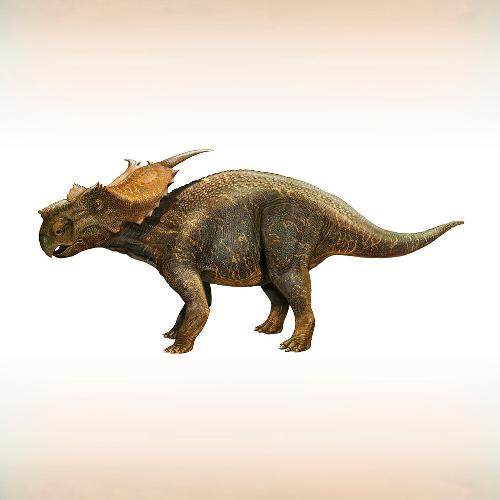 pomegranate-sergey-krasovskiy-dinosaurs-memory-spiel-72er image 2