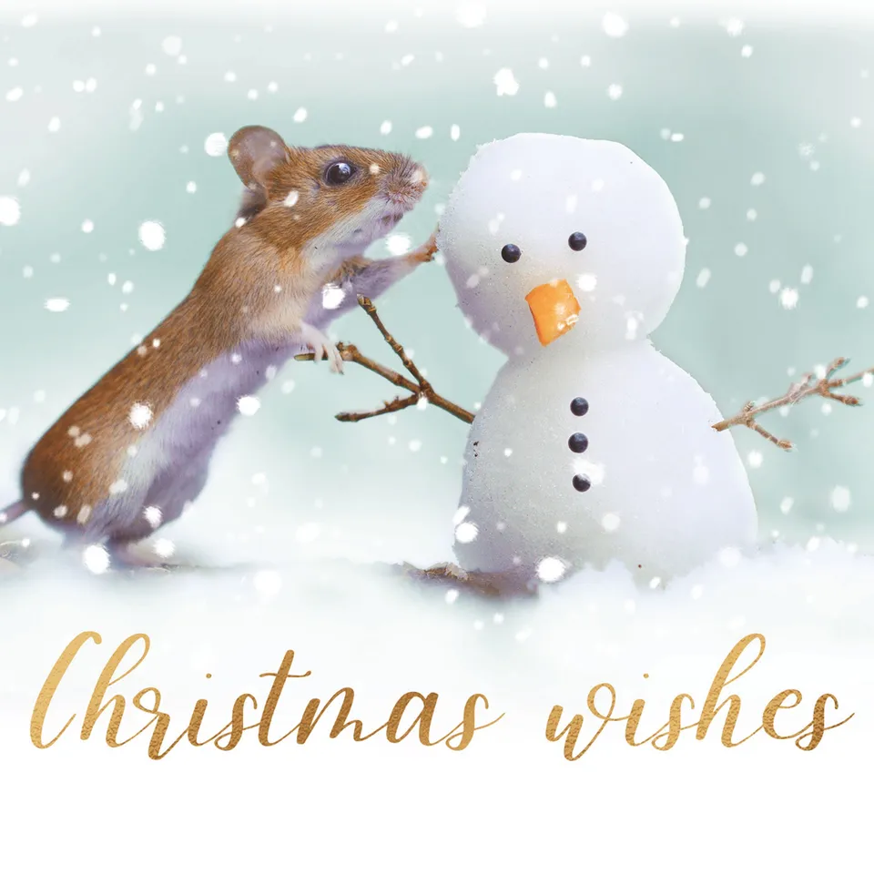 otter-house-mouse-friend-weihnachtskarten-charity-set image 1