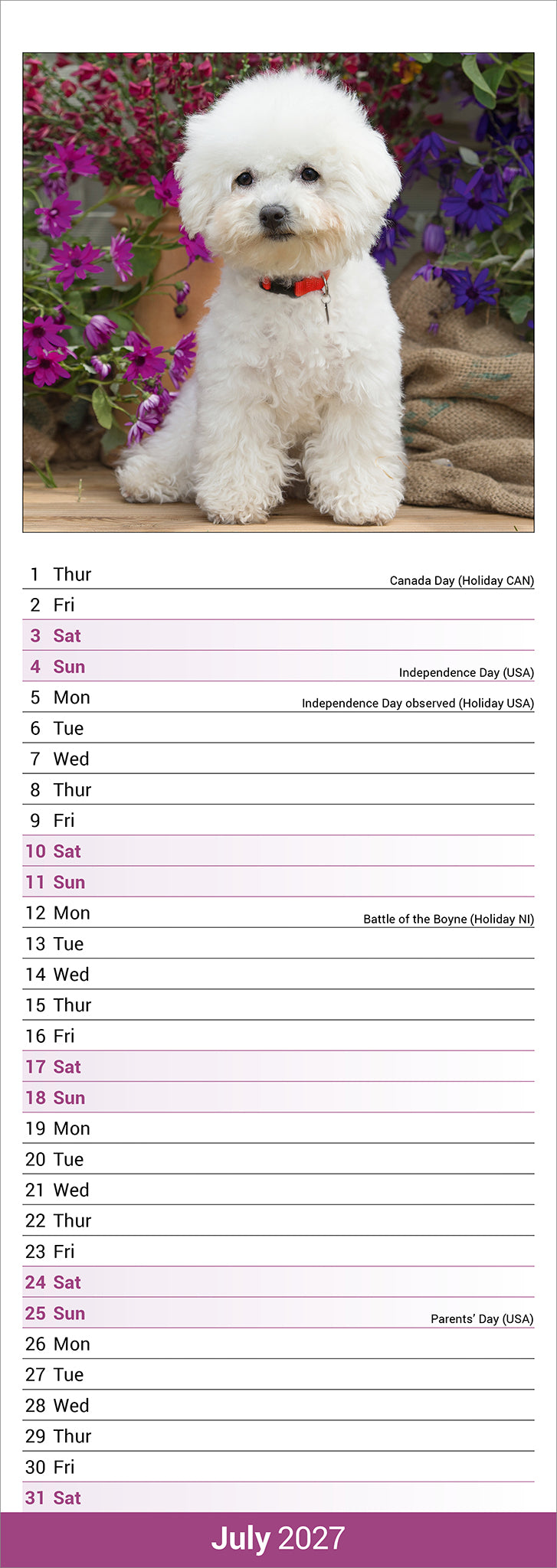 otter-house-bichon-frise-slim-kalender-2027-hunde image 3