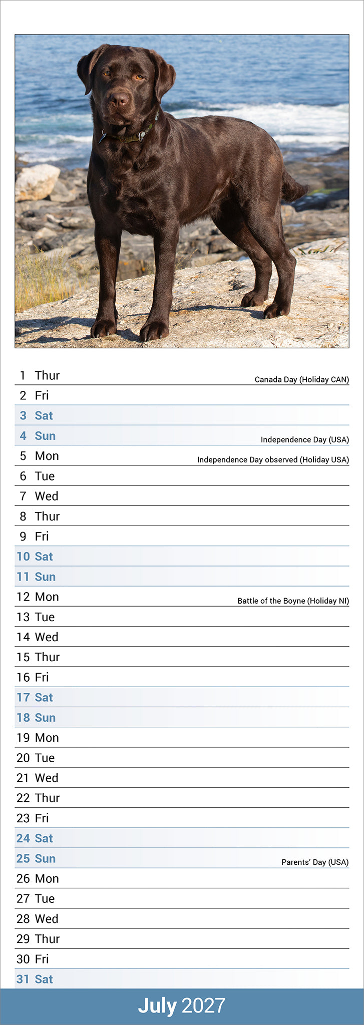 otter-house-labrador-retriever-slim-kalender-2027-hunde image 3